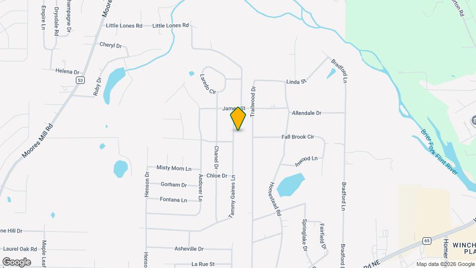111 Tammy Gaines Ln Map and Location Details