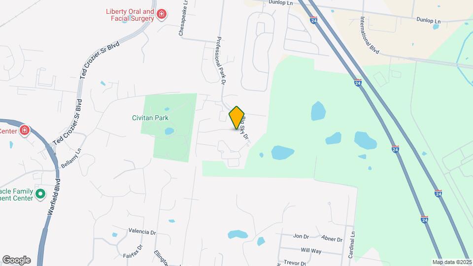 696 White Face Dr Map and Location Details