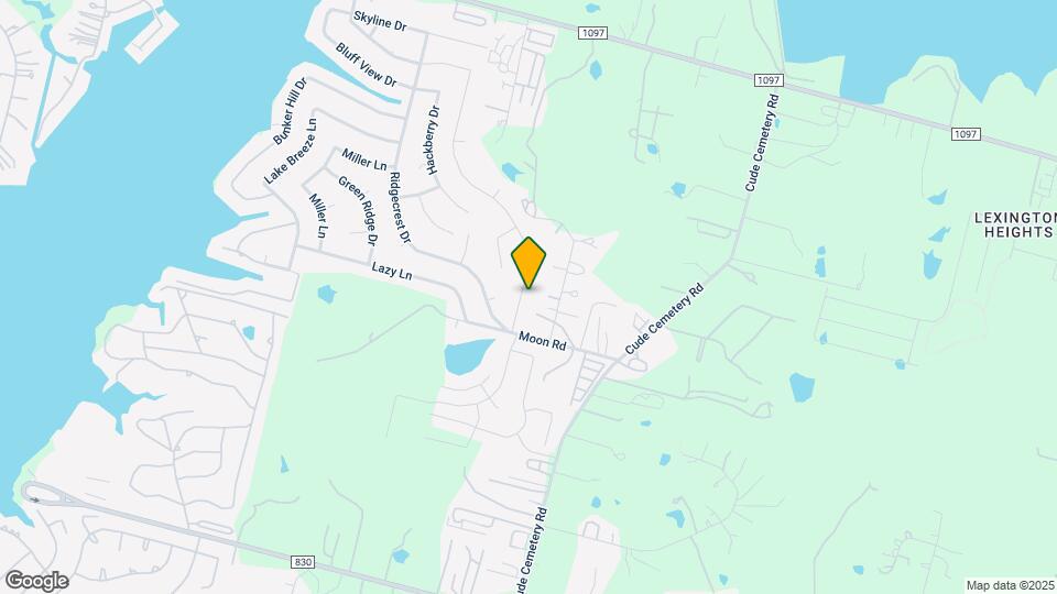 12222 Lake Conroe Hills Dr Map and Location Details