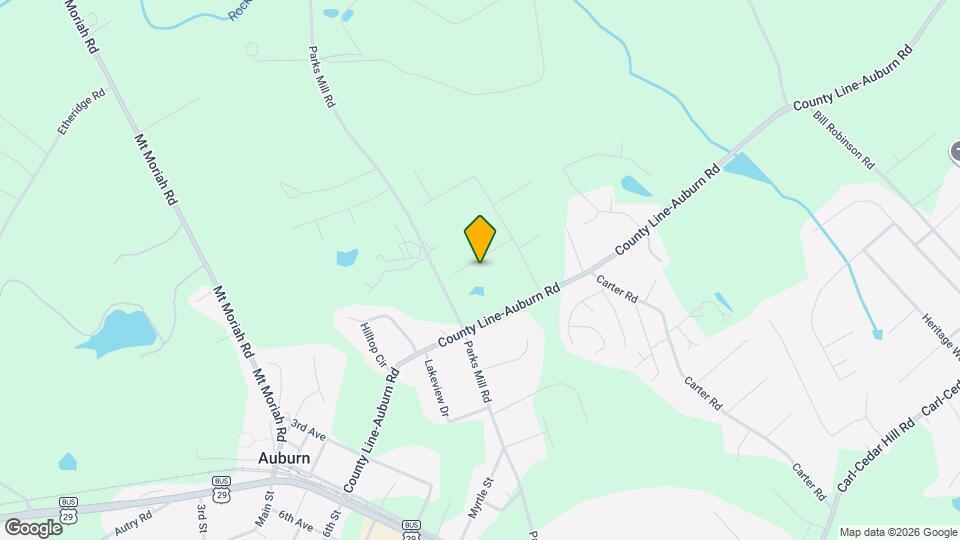 118 Chippewa Run Mapa y Detalles de la Ubicación