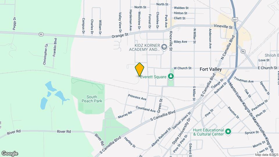 119 Ronald Pride Blvd Map and Location Details