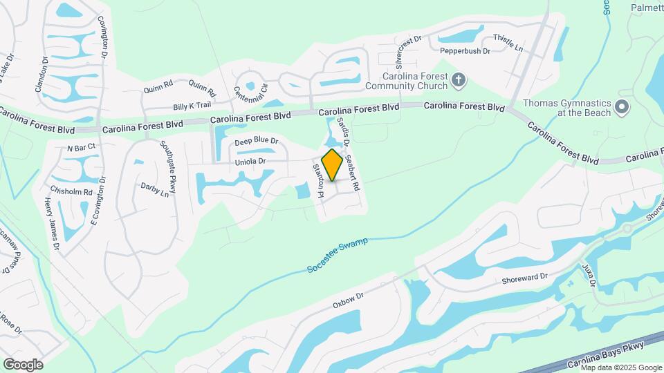 458 Swanson Dr Mapa y Detalles de la Ubicación