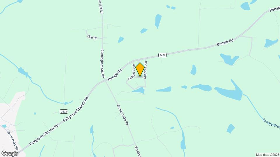 305 Dowtin Ln Mapa y Detalles de la Ubicación