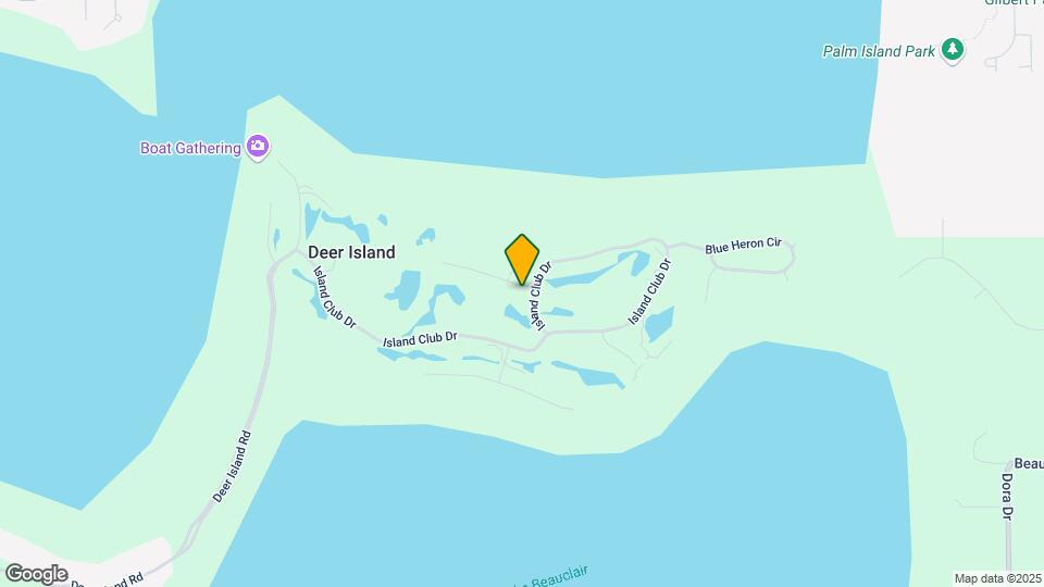 17740 Sawgrass Run Mapa y Detalles de la Ubicación