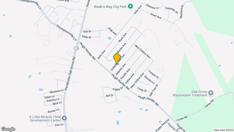 208 Golden Pond Ave Mapa y Detalles de la Ubicación