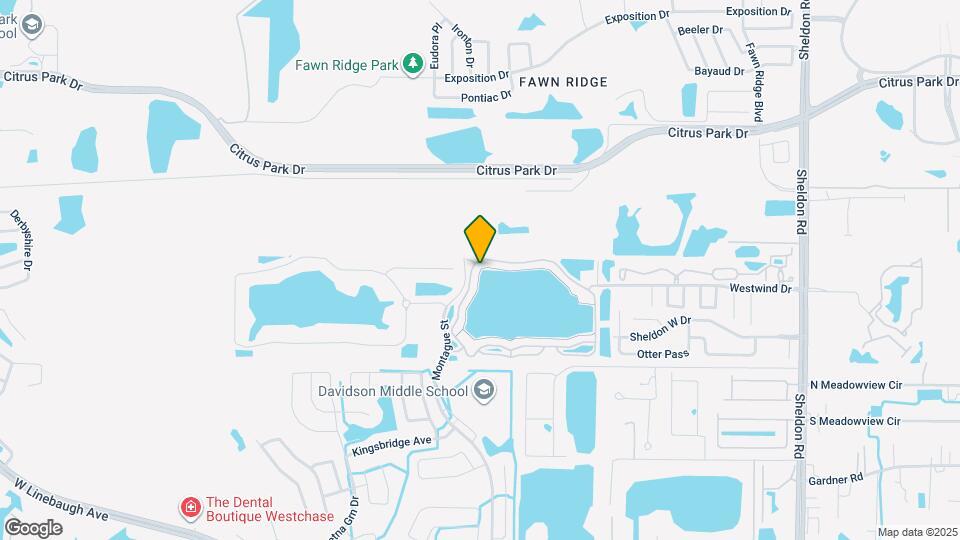 9088 Lake Chase Island Way Map and Location Details
