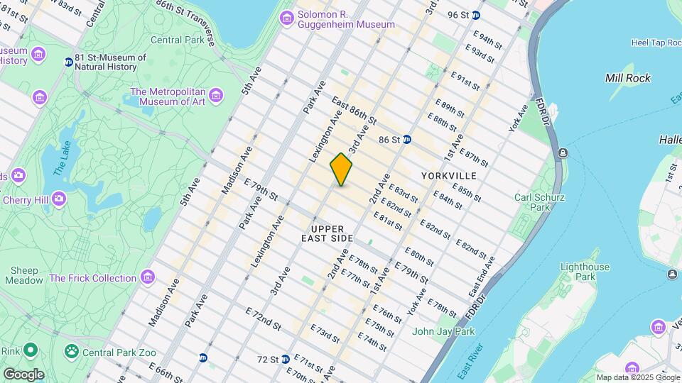 209 E 81st St Mapa y Detalles de la Ubicación