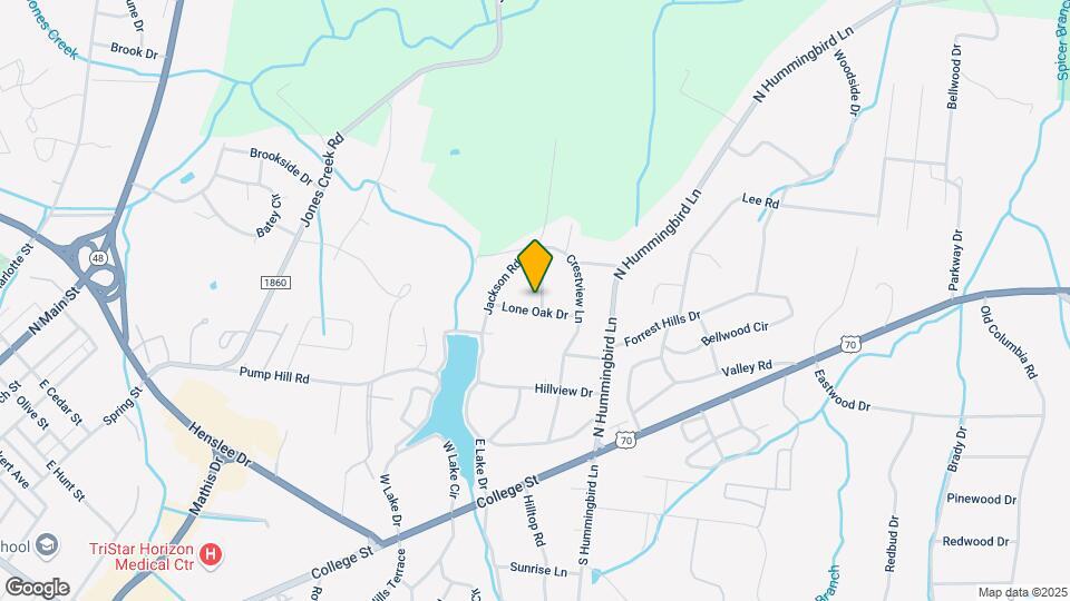 105 Lone Oak Dr Map and Location Details
