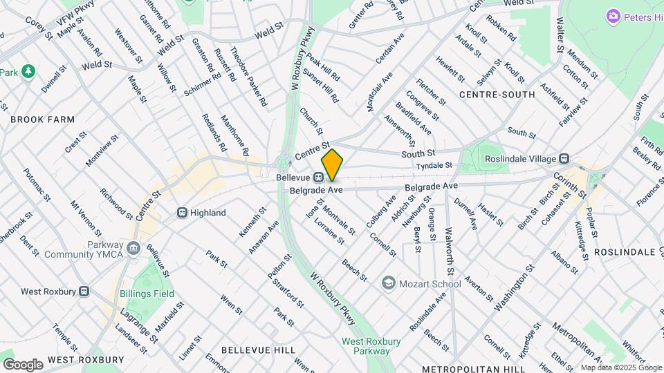 319 Belgrade Ave, Unit 201 Map and Location Details