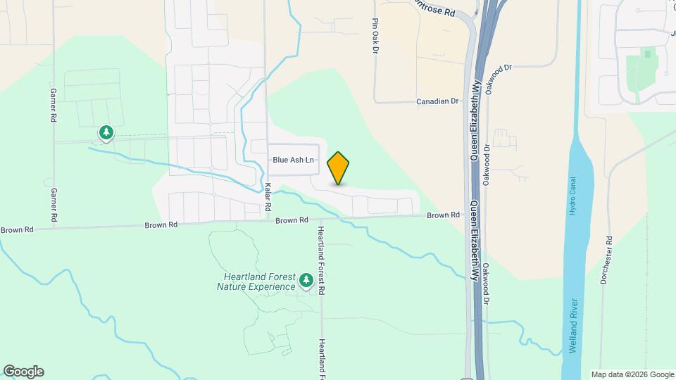 7945 Hackberry Trl Map and Location Details