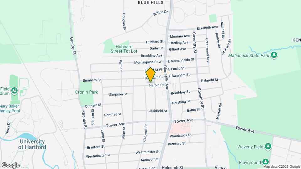 44 Harold St Mapa y Detalles de la Ubicación