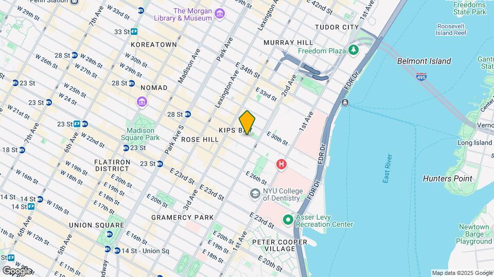 230-232 E 29th St Mapa y Detalles de la Ubicación