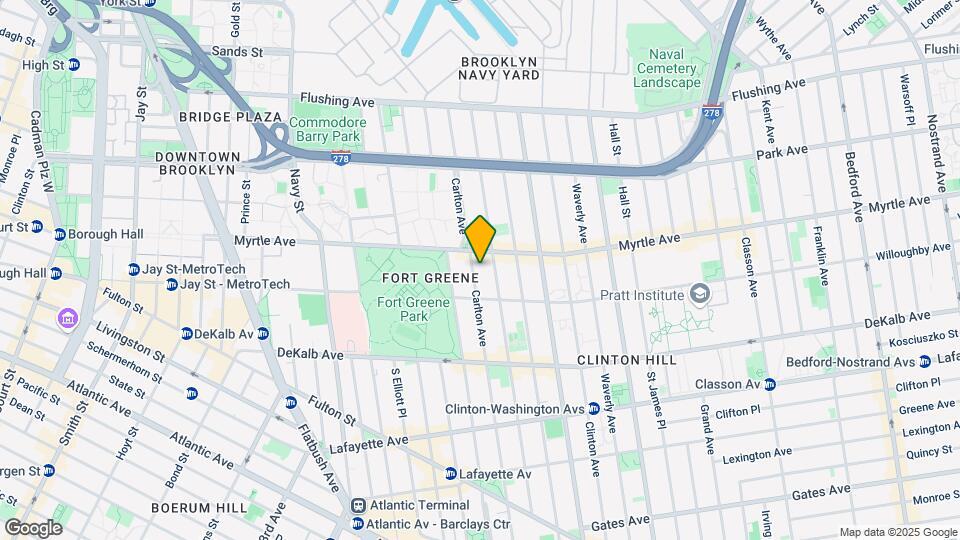163 Carlton Ave Mapa y Detalles de la Ubicación