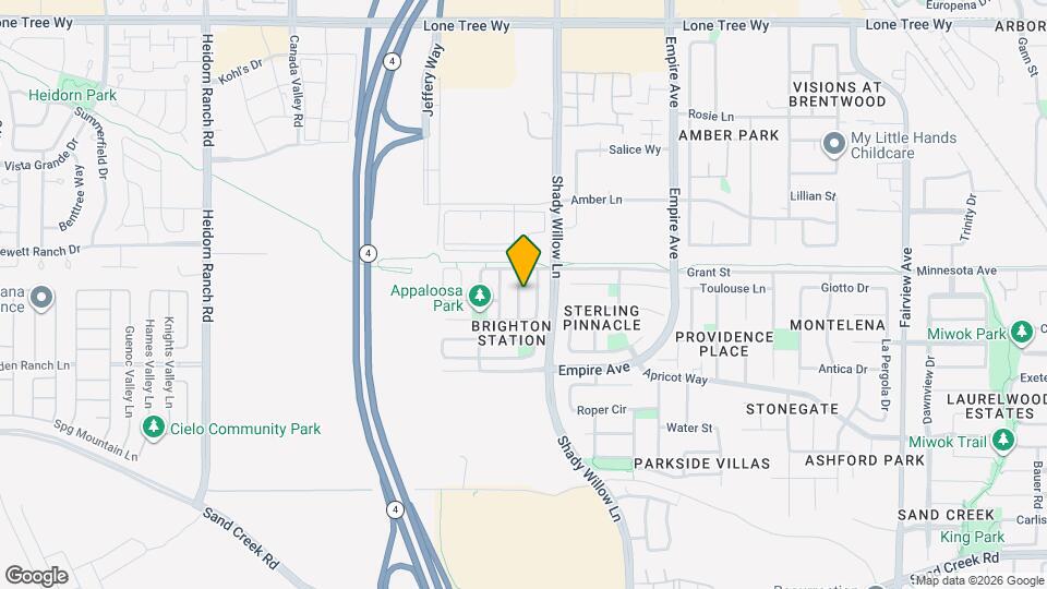 1866 White Sands St Map and Location Details