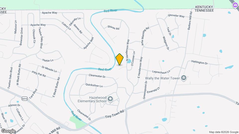 113 Irishman Way Map and Location Details