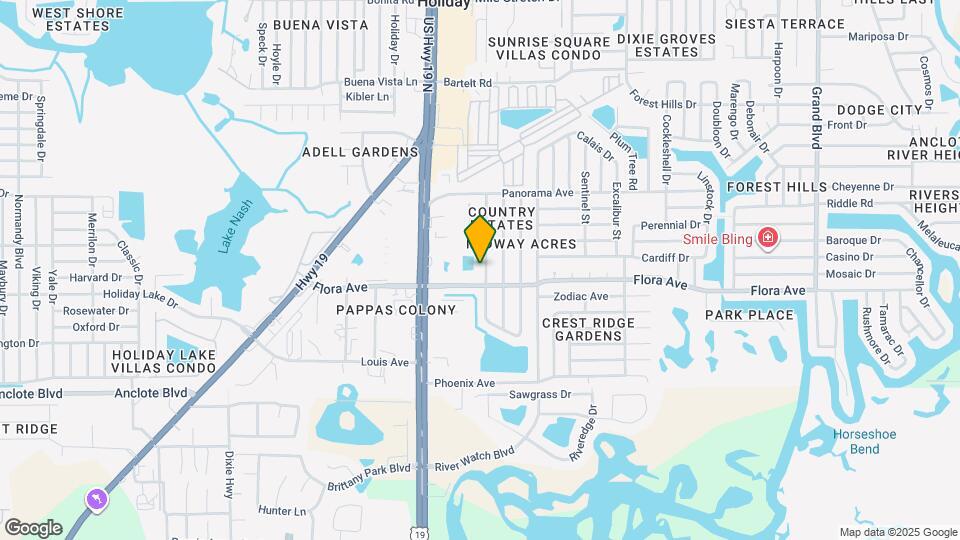 1253 Brightwell Dr Map and Location Details