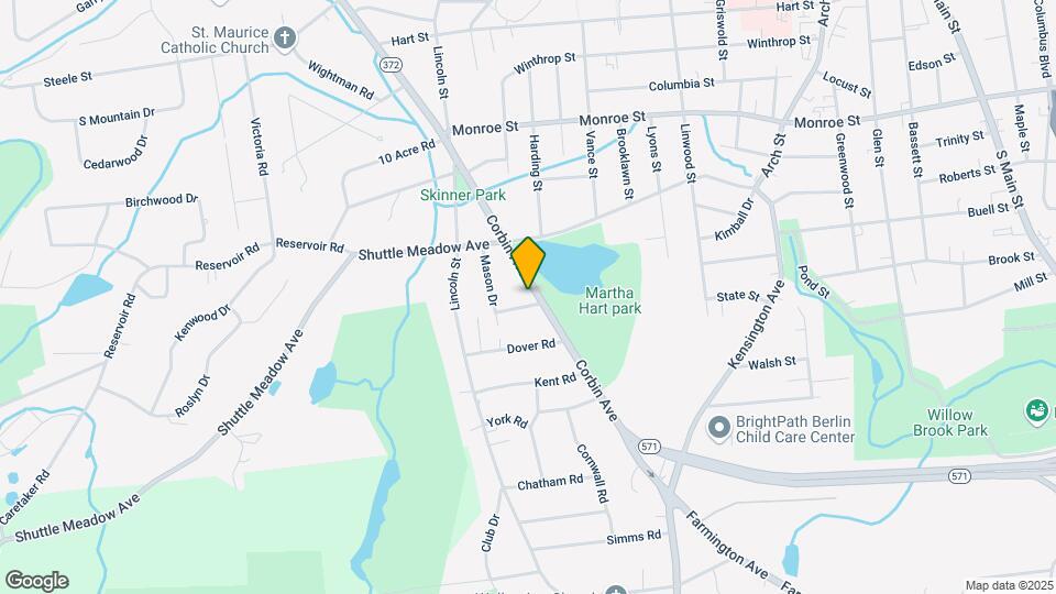 254 Corbin Ave Mapa y Detalles de la Ubicación
