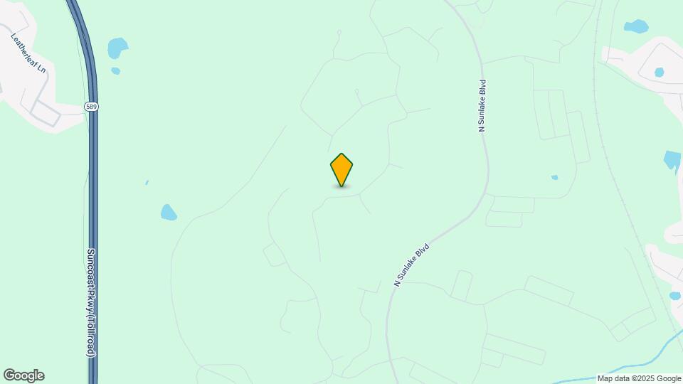 10367 Banyan Breeze Blvd Map and Location Details