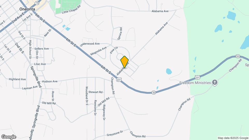 21 Pine St Mapa y Detalles de la Ubicación