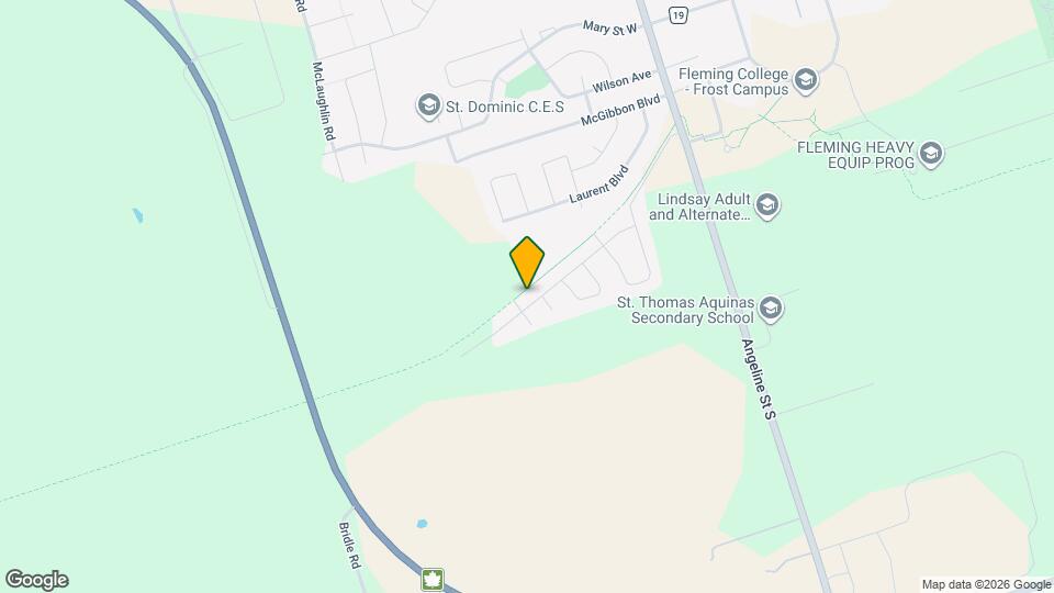 62 Cook St Map and Location Details