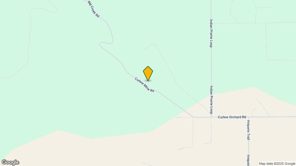 2920 Curlew Mine Rd Map and Location Details