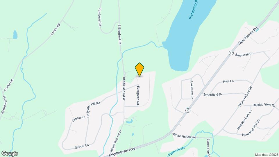 43 Evergreen Rd Map and Location Details