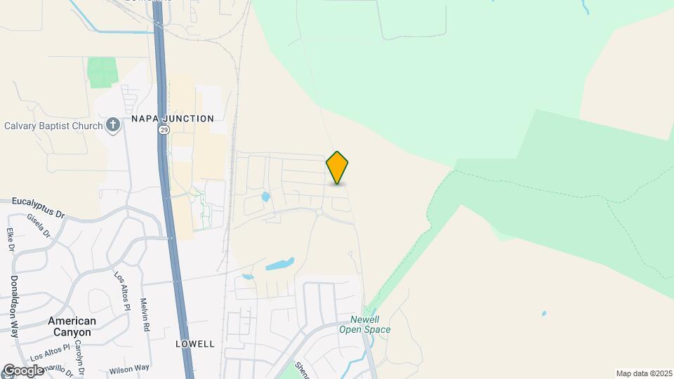 231 Goldback Ct Mapa y Detalles de la Ubicación