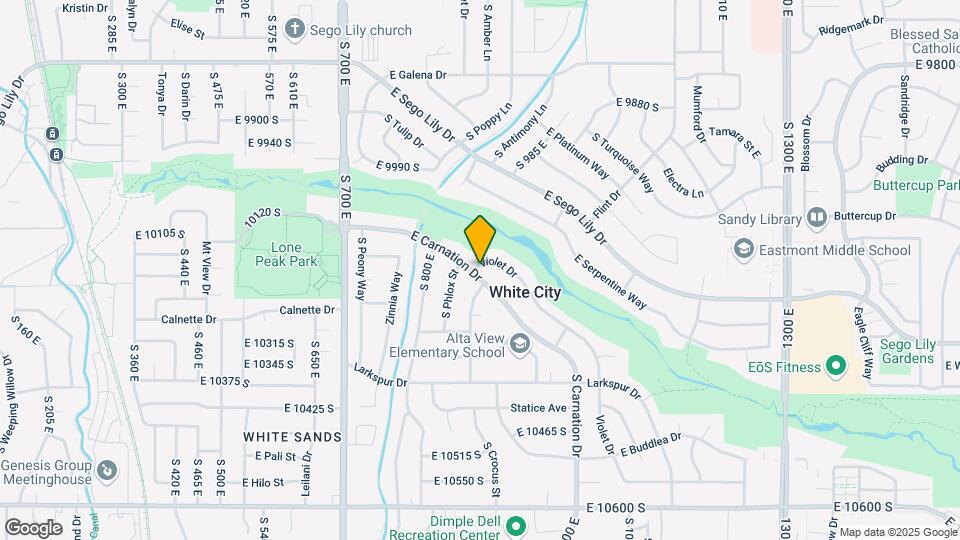 875 E Carnation Dr Map and Location Details
