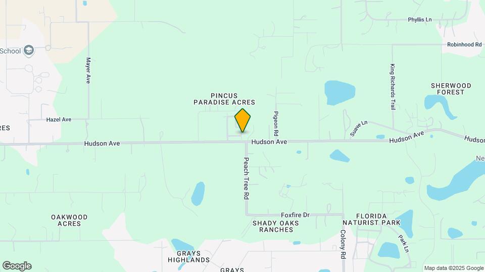 14006 Bluegill Ln Map and Location Details
