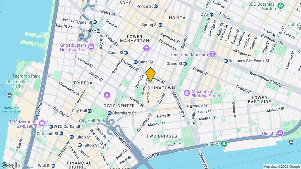 63 Mott St Mapa y Detalles de la Ubicación