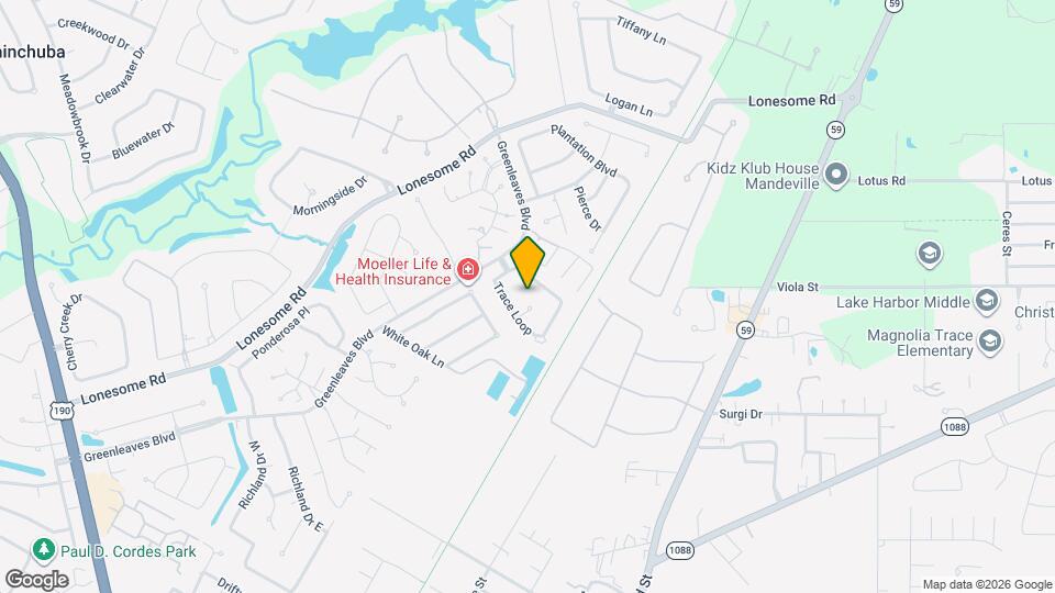 309 Teal Ct Mapa y Detalles de la Ubicación