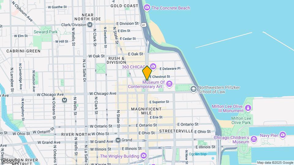 830 N Michigan Ave Map and Location Details