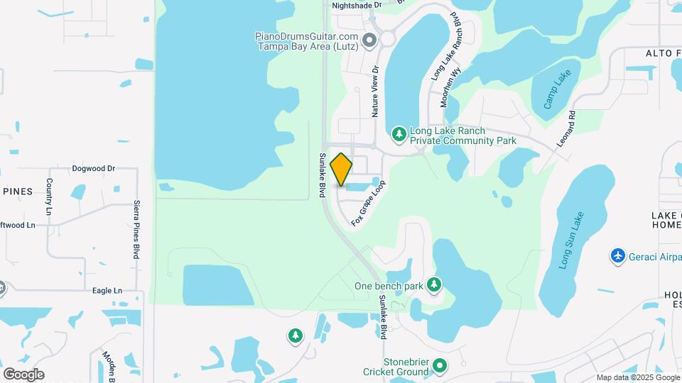 1593 Fox Grape Loop Map and Location Details