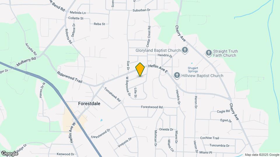 737 Dauphine Dr Map and Location Details