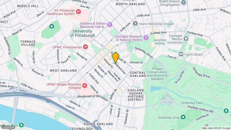 262 Oakland Ave Mapa y Detalles de la Ubicación
