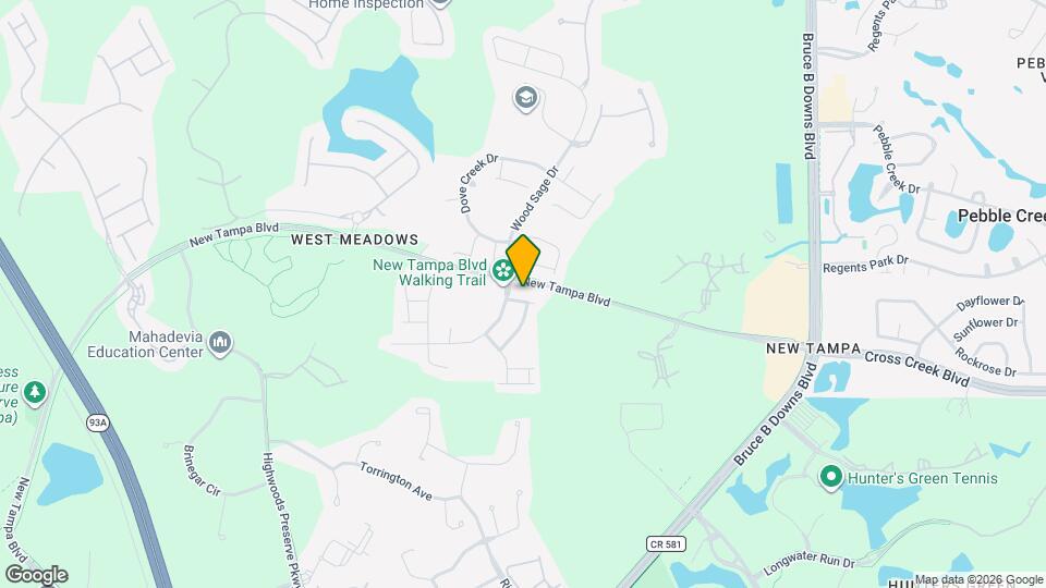 8606 Baneberry Ct Mapa y Detalles de la Ubicación