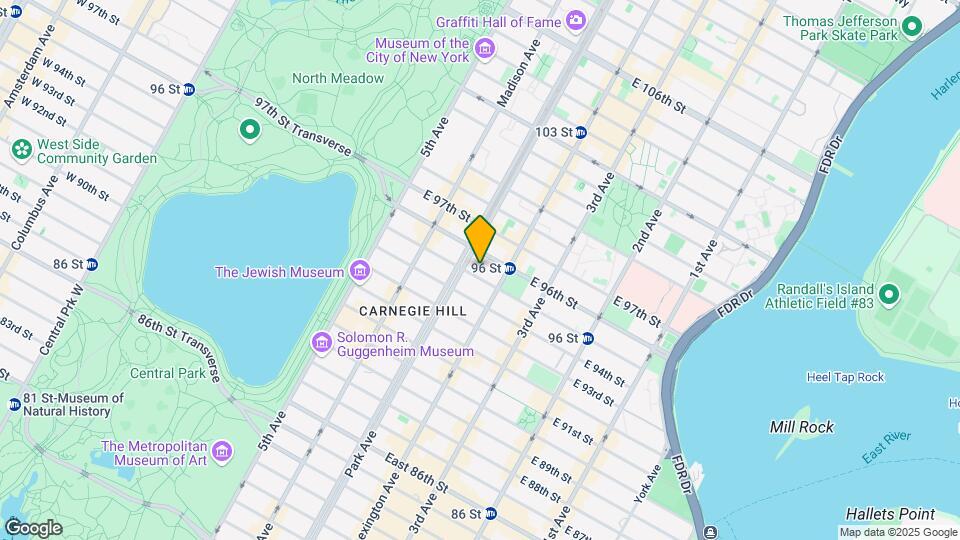 117 E 95th St Map and Location Details