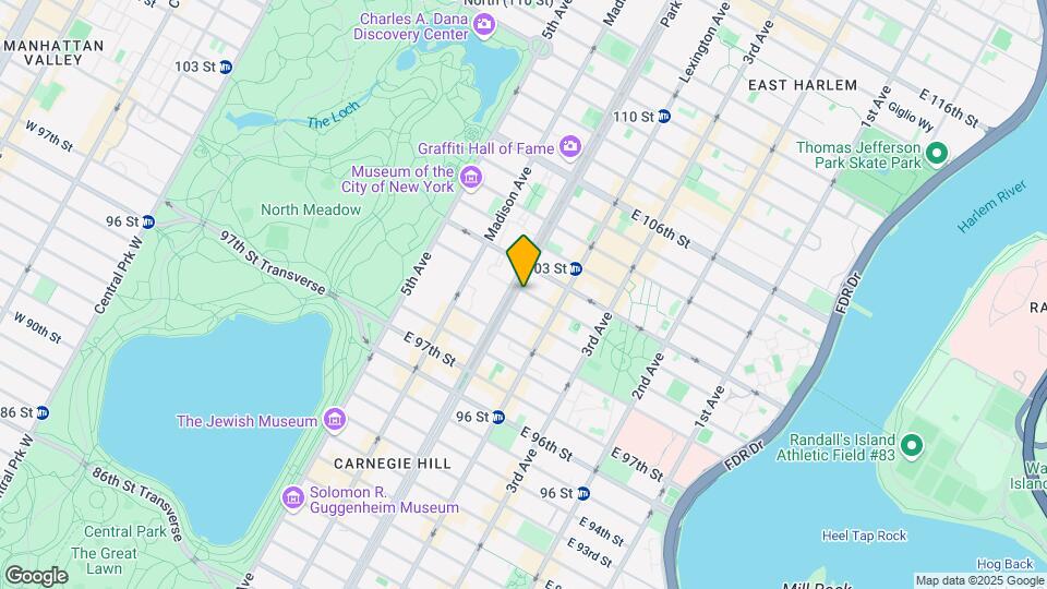 106 E 101st St Map and Location Details