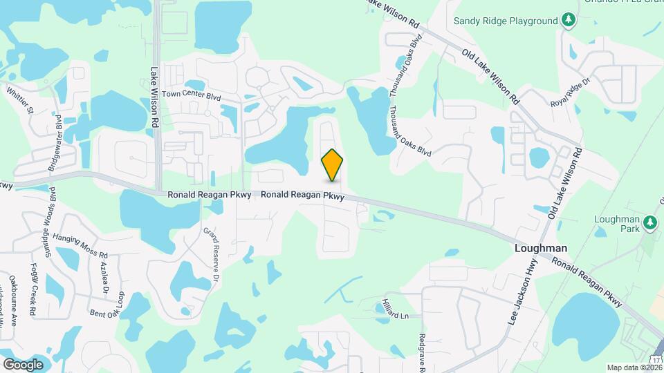 113 Pinewood Ct Mapa y Detalles de la Ubicación