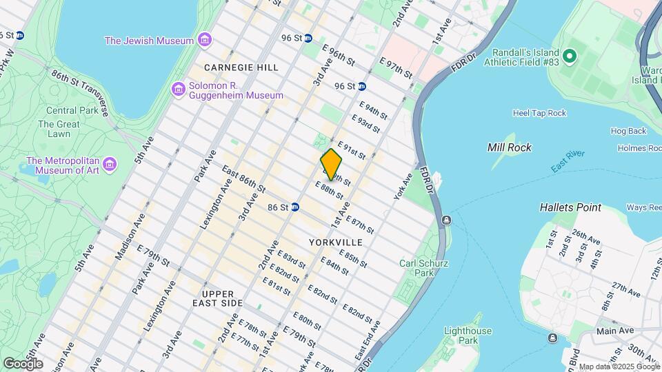319-323 E 88th St Mapa y Detalles de la Ubicación