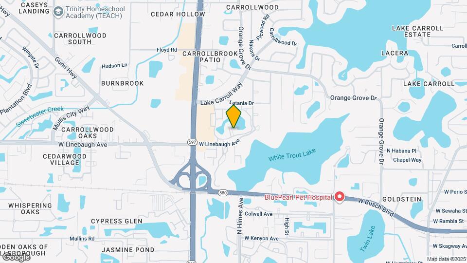 10356 Carrollwood Ln, Unit #203 Mapa y Detalles de la Ubicación