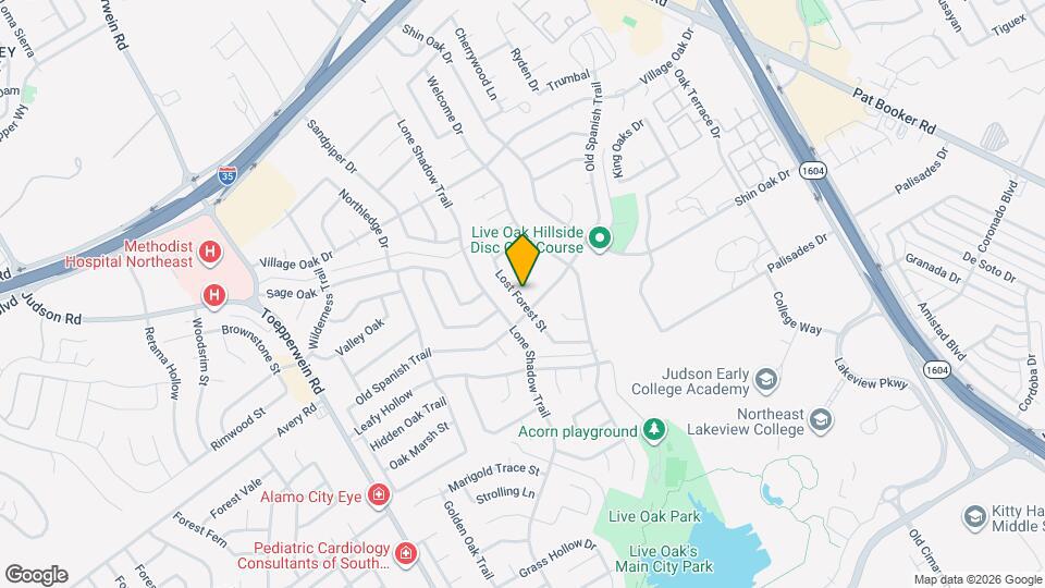 164 Lost Forest St Mapa y Detalles de la Ubicación