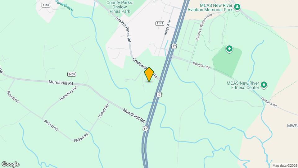 111 Pleasant Ct Map and Location Details