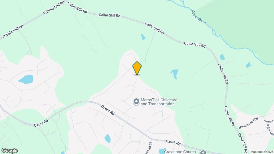 1417 Stream Walk Map and Location Details