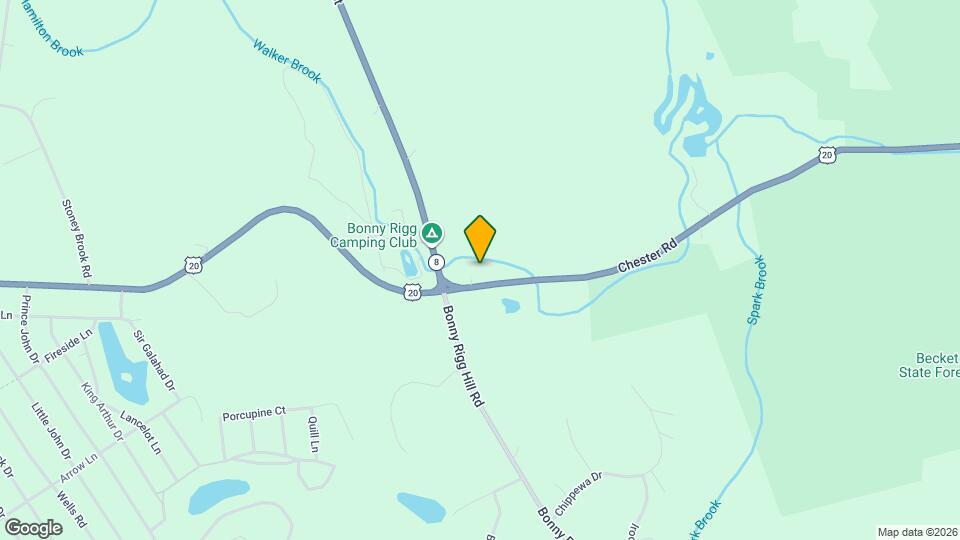 29 Chester Rd Mapa y Detalles de la Ubicación