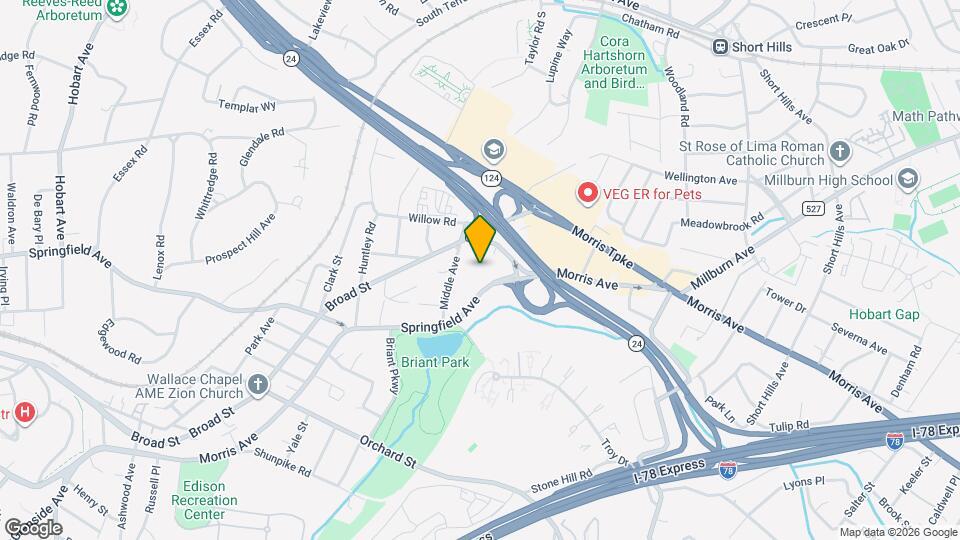 41 Springfield Ave Mapa y Detalles de la Ubicación