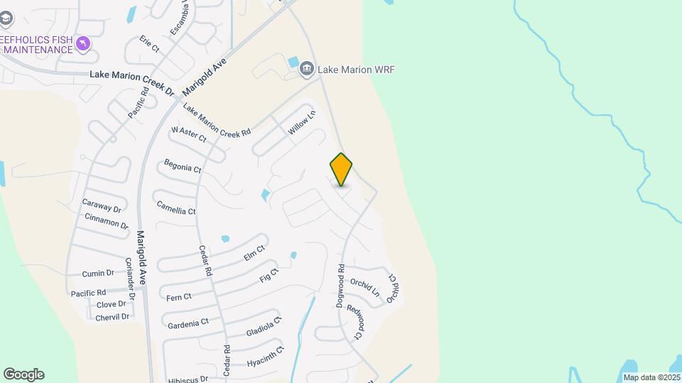 119 Lily Ln Map and Location Details