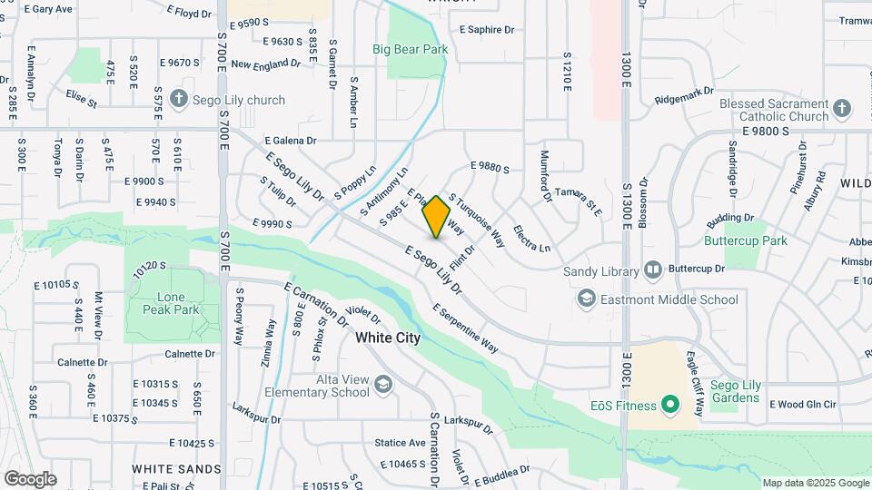 1020 E Diamond Way Map and Location Details