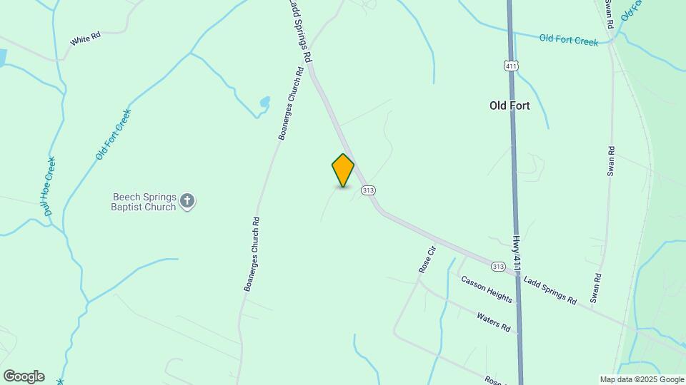 4442 Ladd Springs Rd SE Map and Location Details