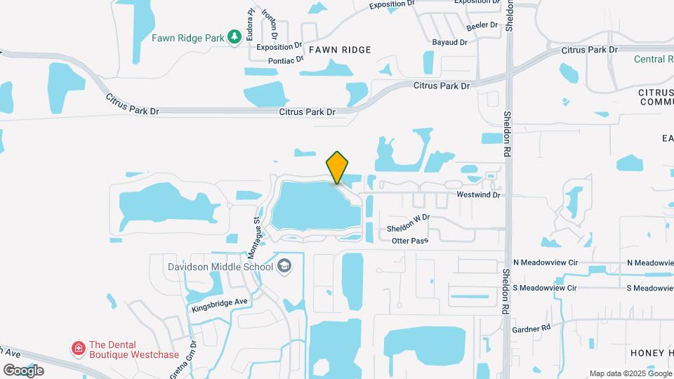 9258 Lake Chase Island Way Map and Location Details